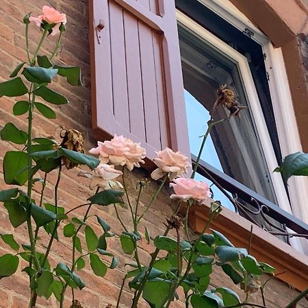 شقة بولونيا  في Casina Delle Rose المظهر الخارجي الصورة