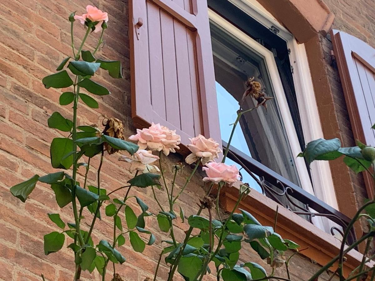 شقة بولونيا  في Casina Delle Rose المظهر الخارجي الصورة
